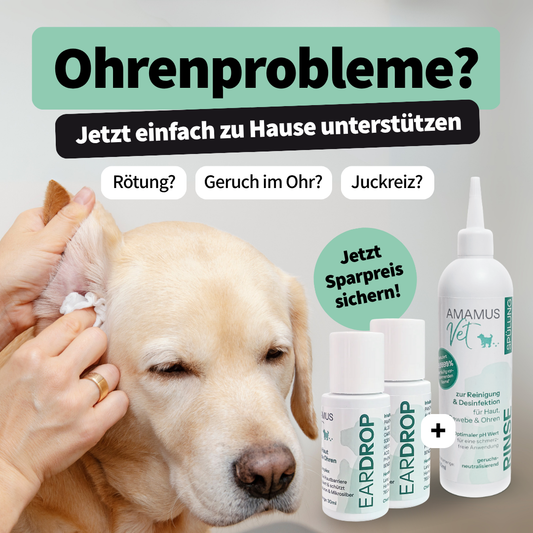 AMAMUS Vet Ohrenpflege Set - Jetzt Tierohren effektiv reinigen & sanft pflegen!