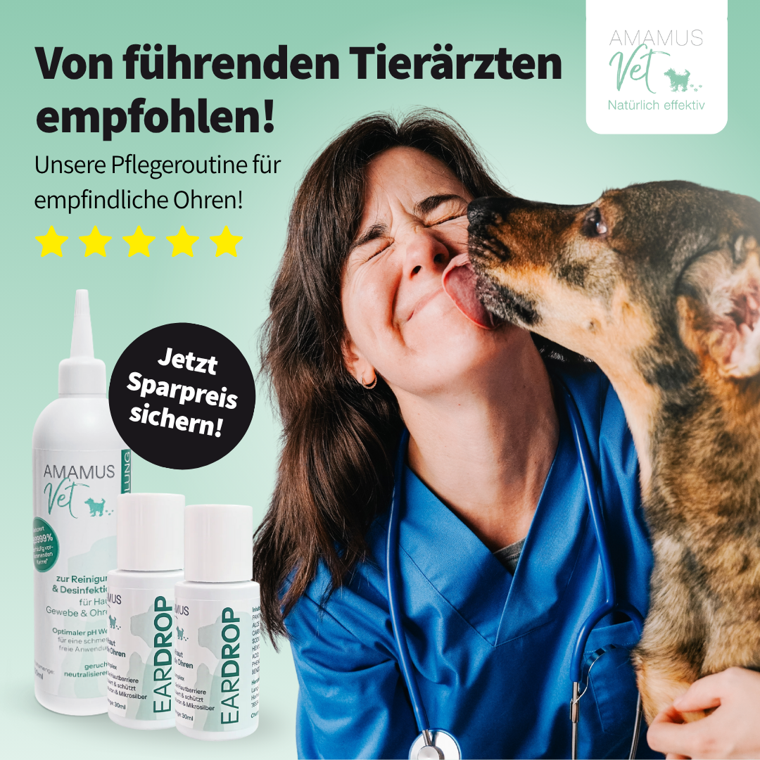 AMAMUS Vet Ohrenpflege Starter Set - Jetzt Tierohren effektiv reinigen & sanft pflegen!