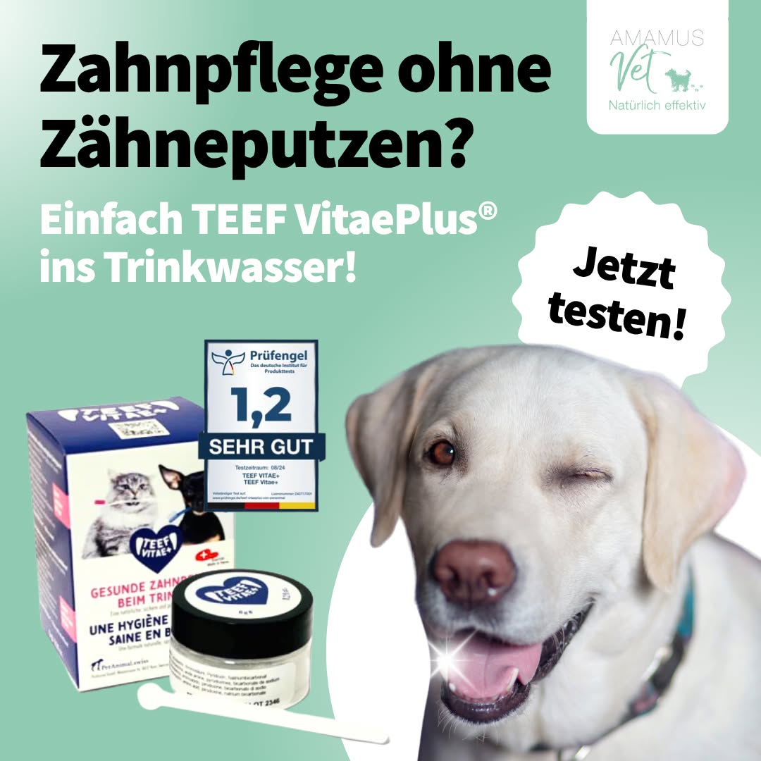 TEEF VitaePlus® (6g) - Natürliche Zahnpflege bei Maulgeruch & Zahnstein für Hunde & Katzen (ausreichend für 60 Tage / 60 Anw.)