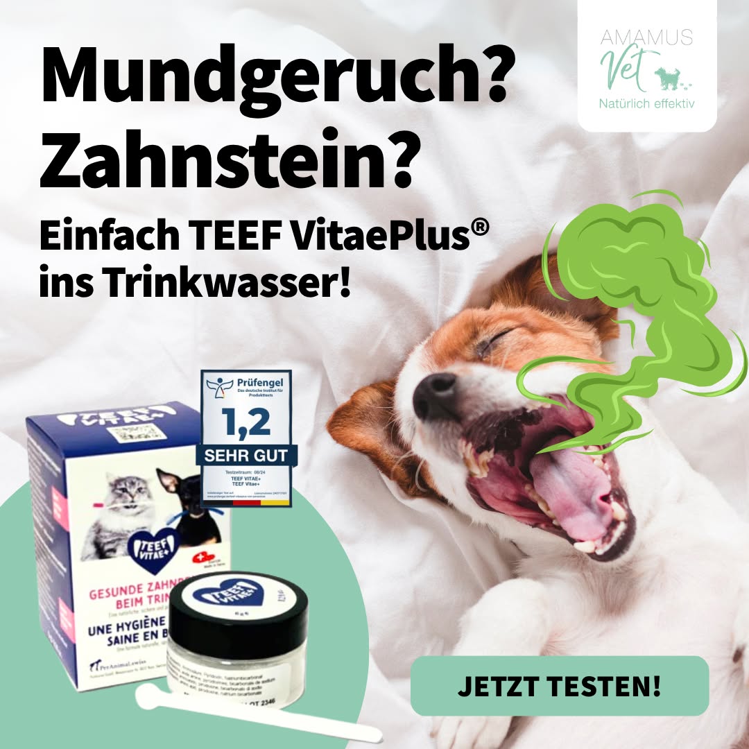 TEEF VitaePlus® (6g) - Natürliche Zahnpflege bei Maulgeruch & Zahnstein für Hunde & Katzen (ausreichend für 60 Tage / 60 Anw.)