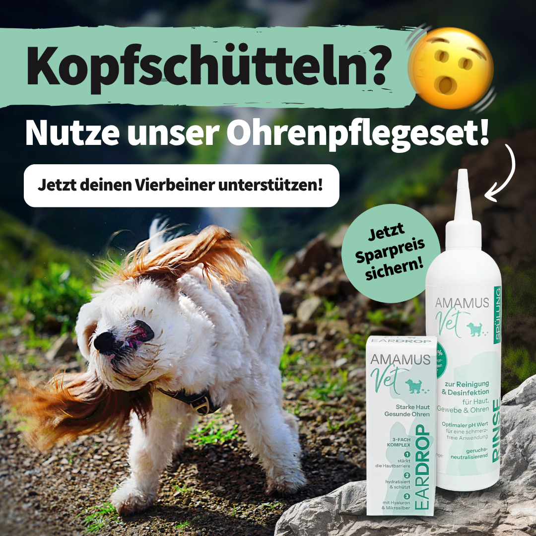 AMAMUS Vet Ohrenpflege Starter Set - Jetzt Tierohren effektiv reinigen & sanft pflegen!