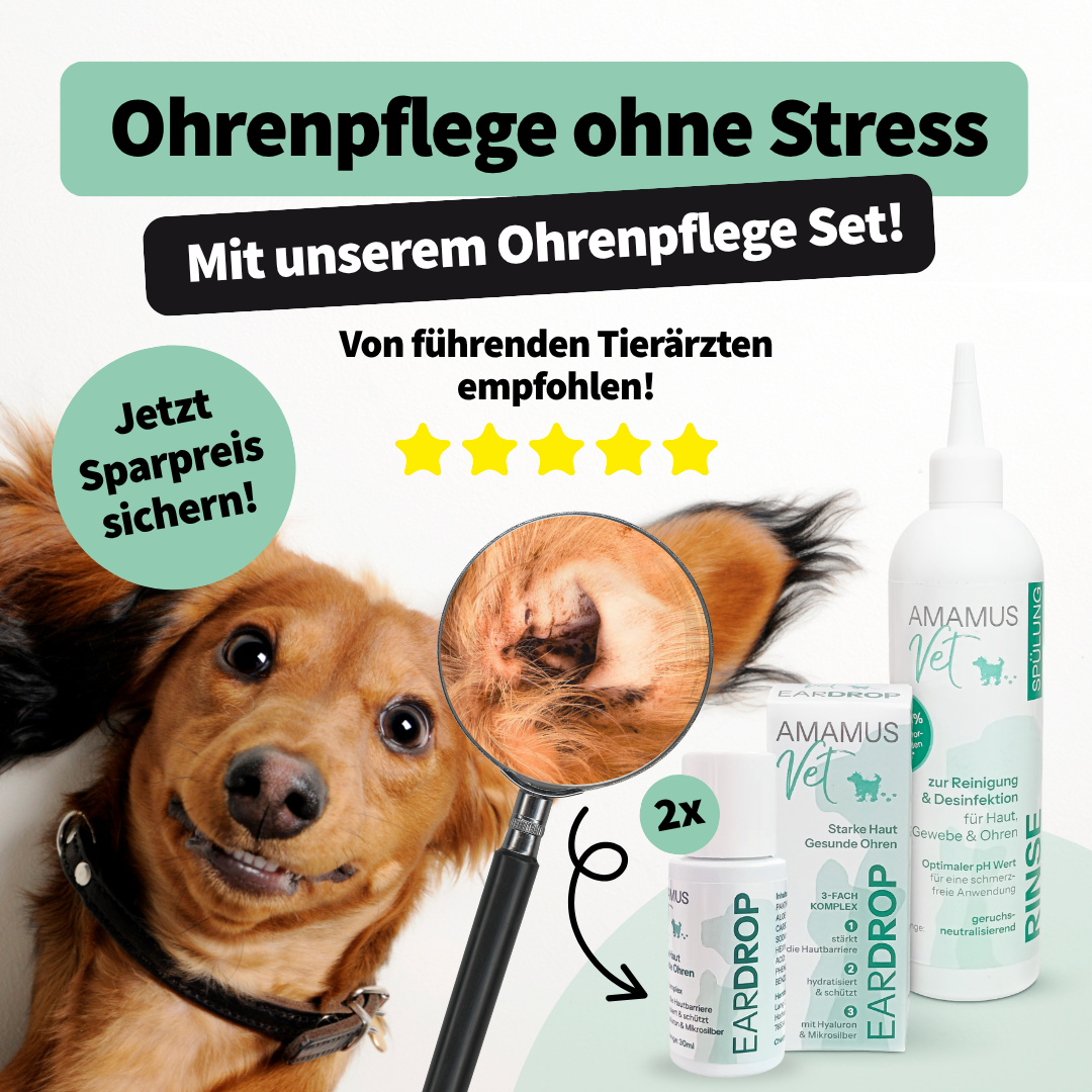 AMAMUS Vet Ohrenpflege Set - Jetzt Tierohren effektiv reinigen & sanft pflegen!