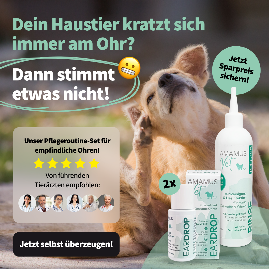 AMAMUS Vet Ohrenpflege Set - Jetzt Tierohren effektiv reinigen & sanft pflegen!