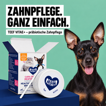 TEEF VitaePlus® (6g) - Natürliche Zahnpflege bei Maulgeruch & Zahnstein für Hunde & Katzen (ausreichend für 60 Tage / 60 Anw.)