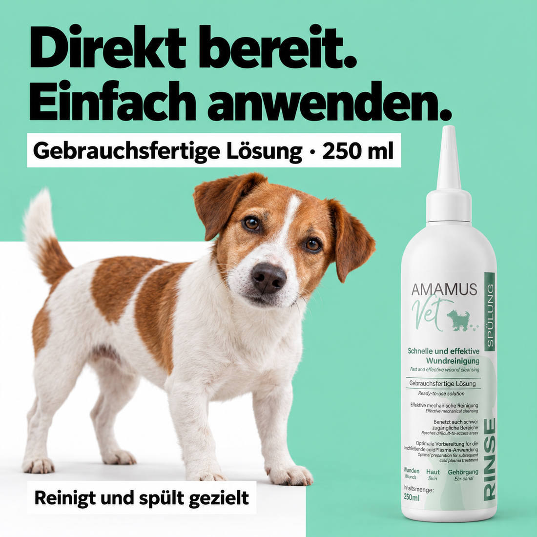 Vorbeugung wiederkehrender Ohrprobleme