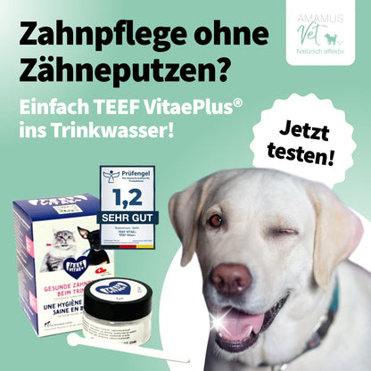 TEEF VitaePlus® (6g) - Natürliche Zahnpflege bei Maulgeruch & Zahnstein für Hunde & Katzen (ausreichend für 60 Tage / 60 Anw.)