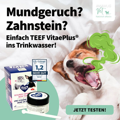 TEEF VitaePlus® (6g) - Natürliche Zahnpflege bei Maulgeruch & Zahnstein für Hunde & Katzen (ausreichend für 60 Tage / 60 Anw.)