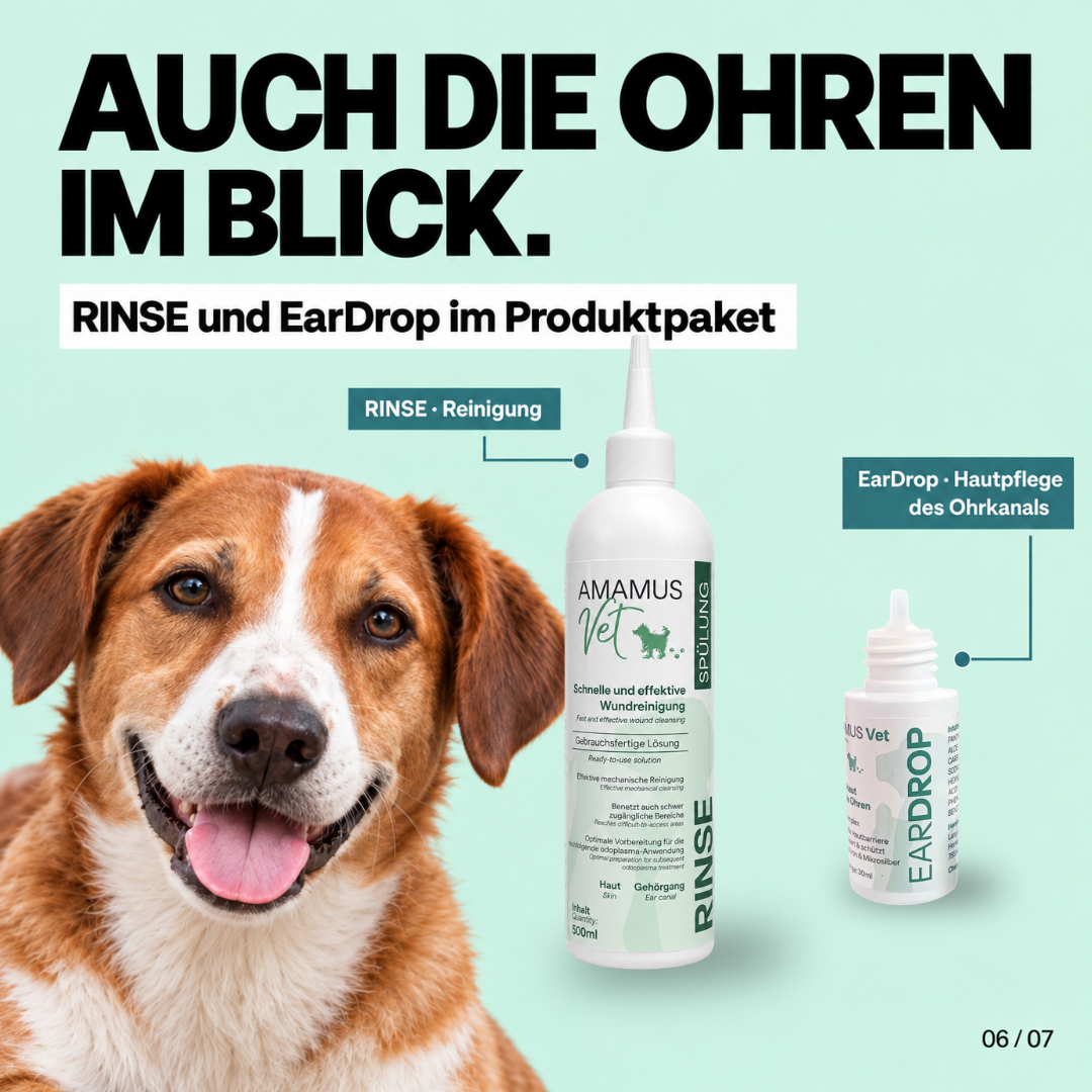 Zur effektiven Reinigung
