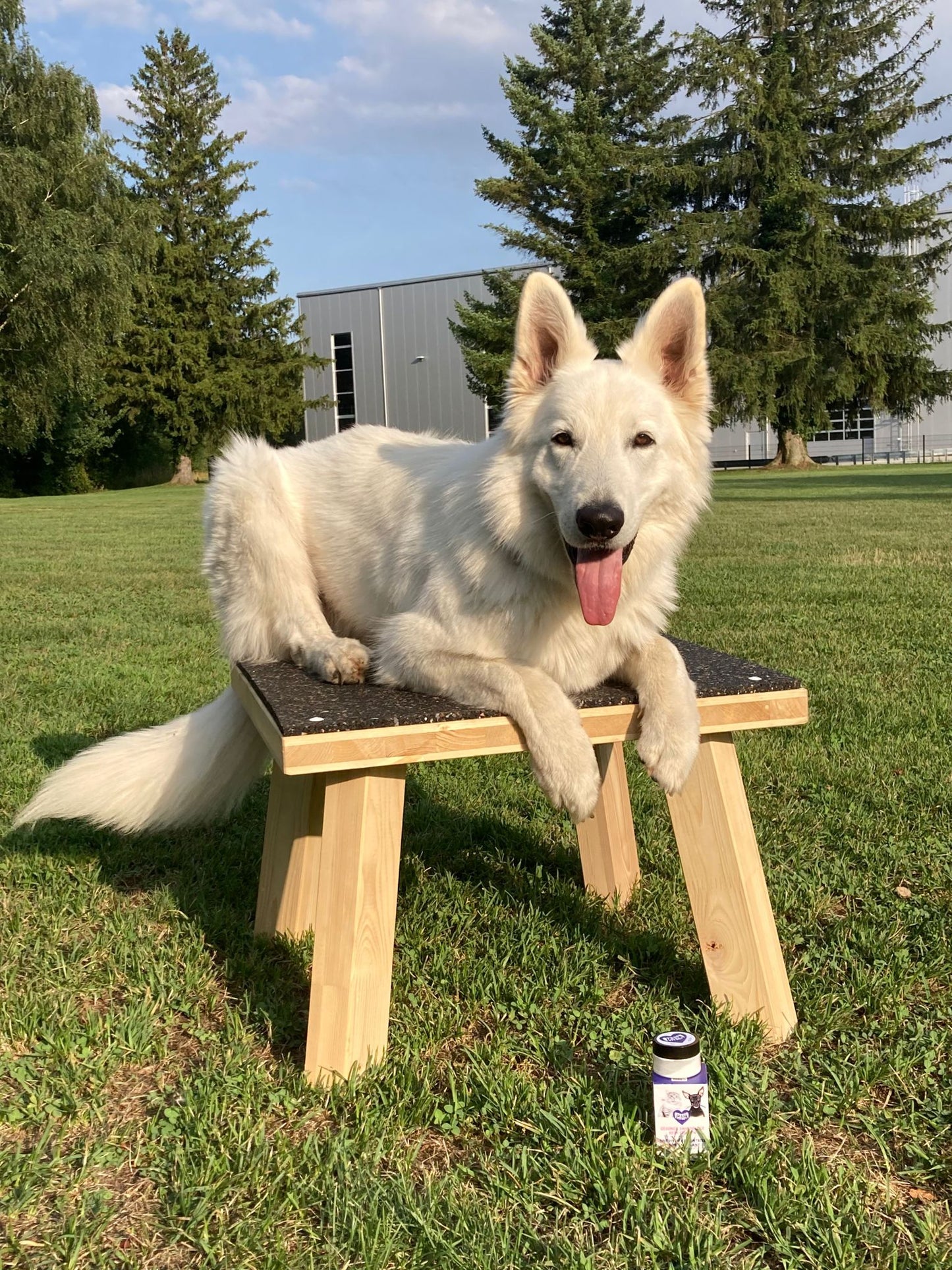 TEEF VitaePlus® Natürliche Zahnpflege beim Trinken für Hunde & Katzen 6g