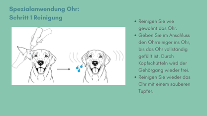 Starterkit "Tierbesitzer" AMAMUS Vet VIROCAP inkl. 300€ Produktpaket