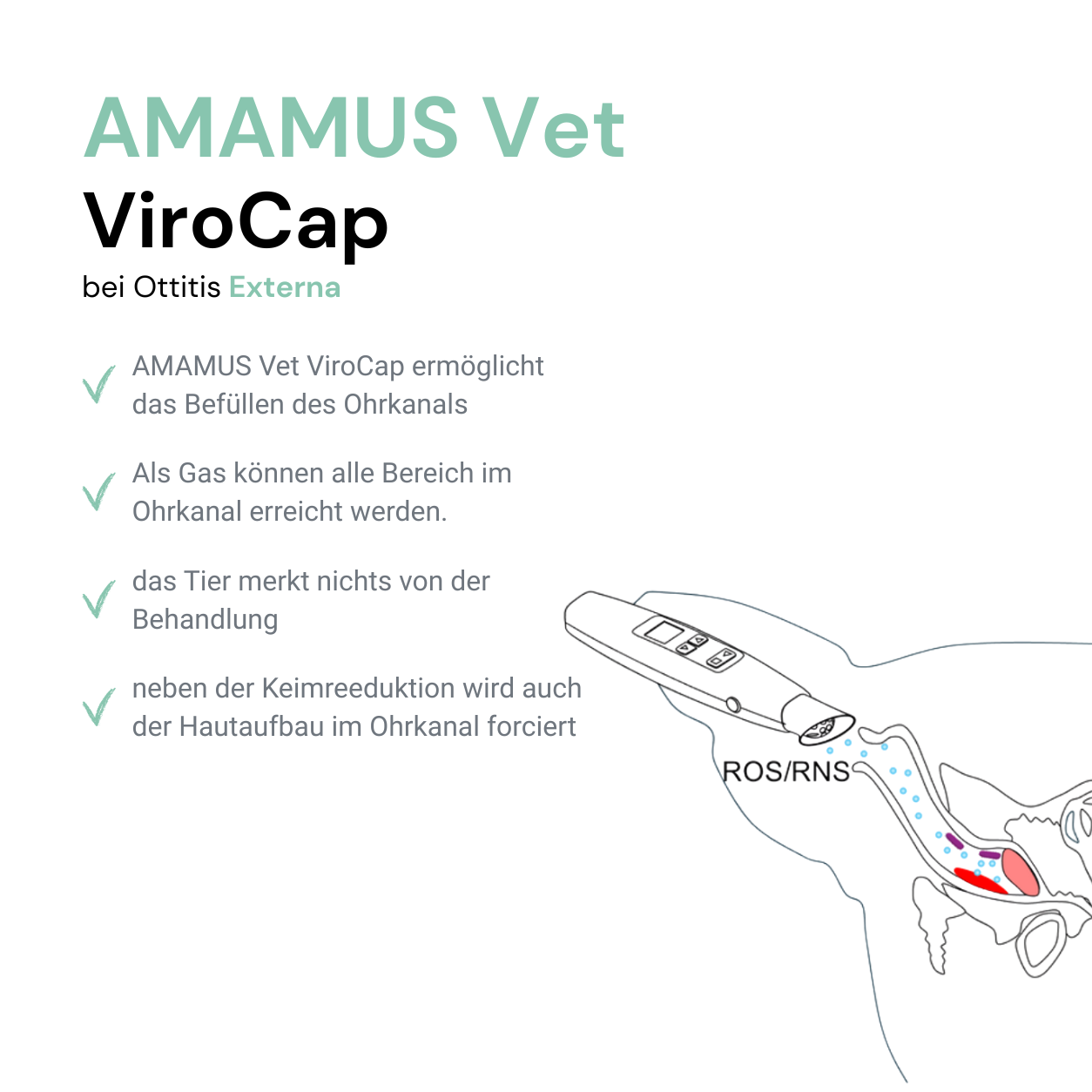 Starterkit "Tierbesitzer" AMAMUS Vet VIROCAP inkl. 300€ Produktpaket