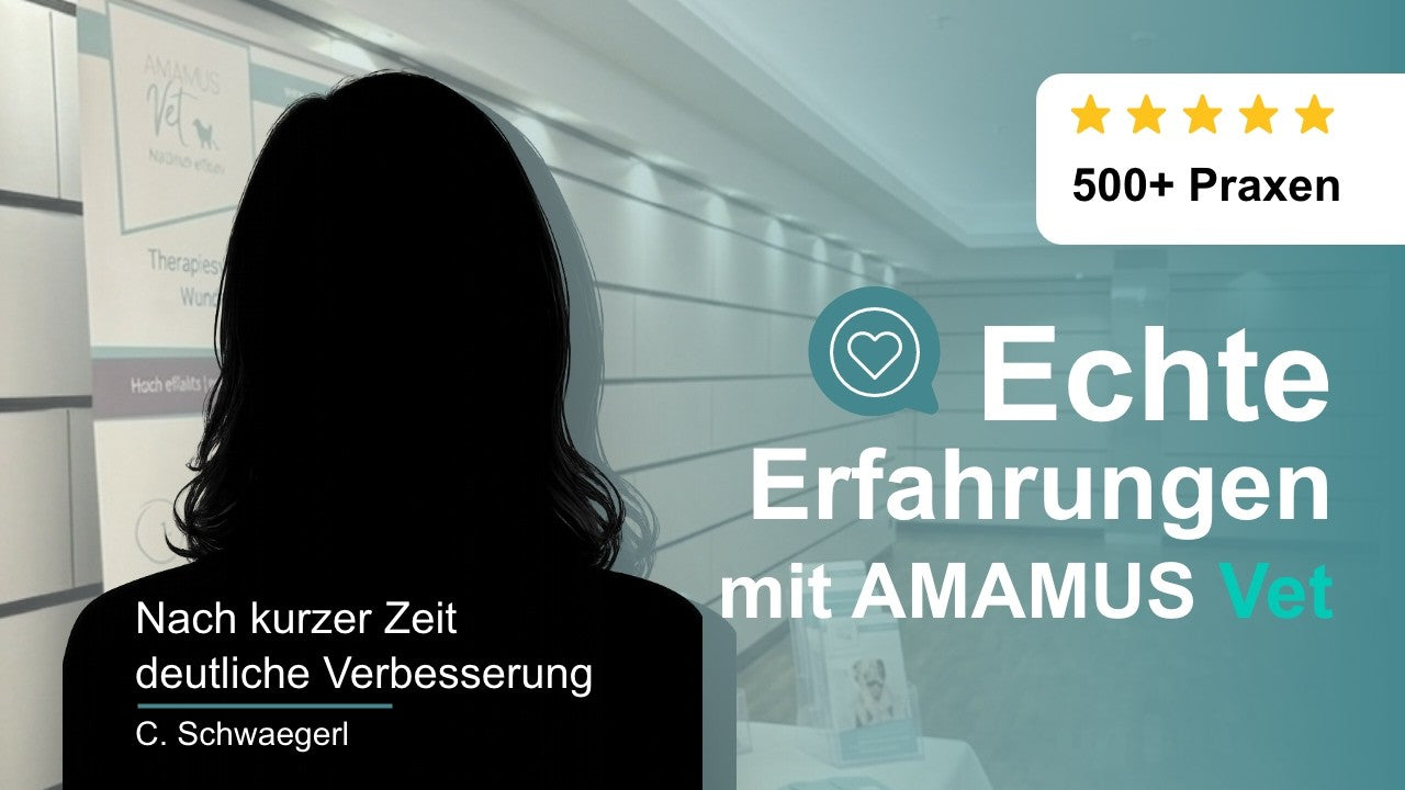 Video laden: 