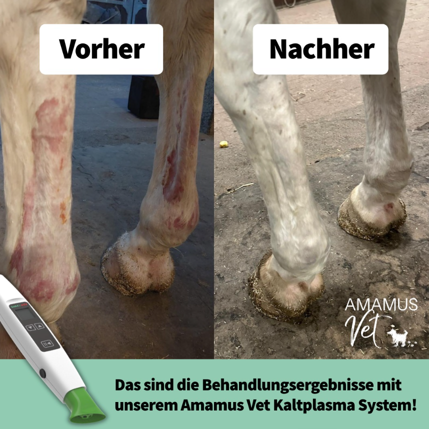 AMAMUS Vet Onlineshop