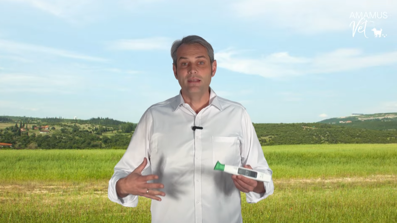 Video laden: 