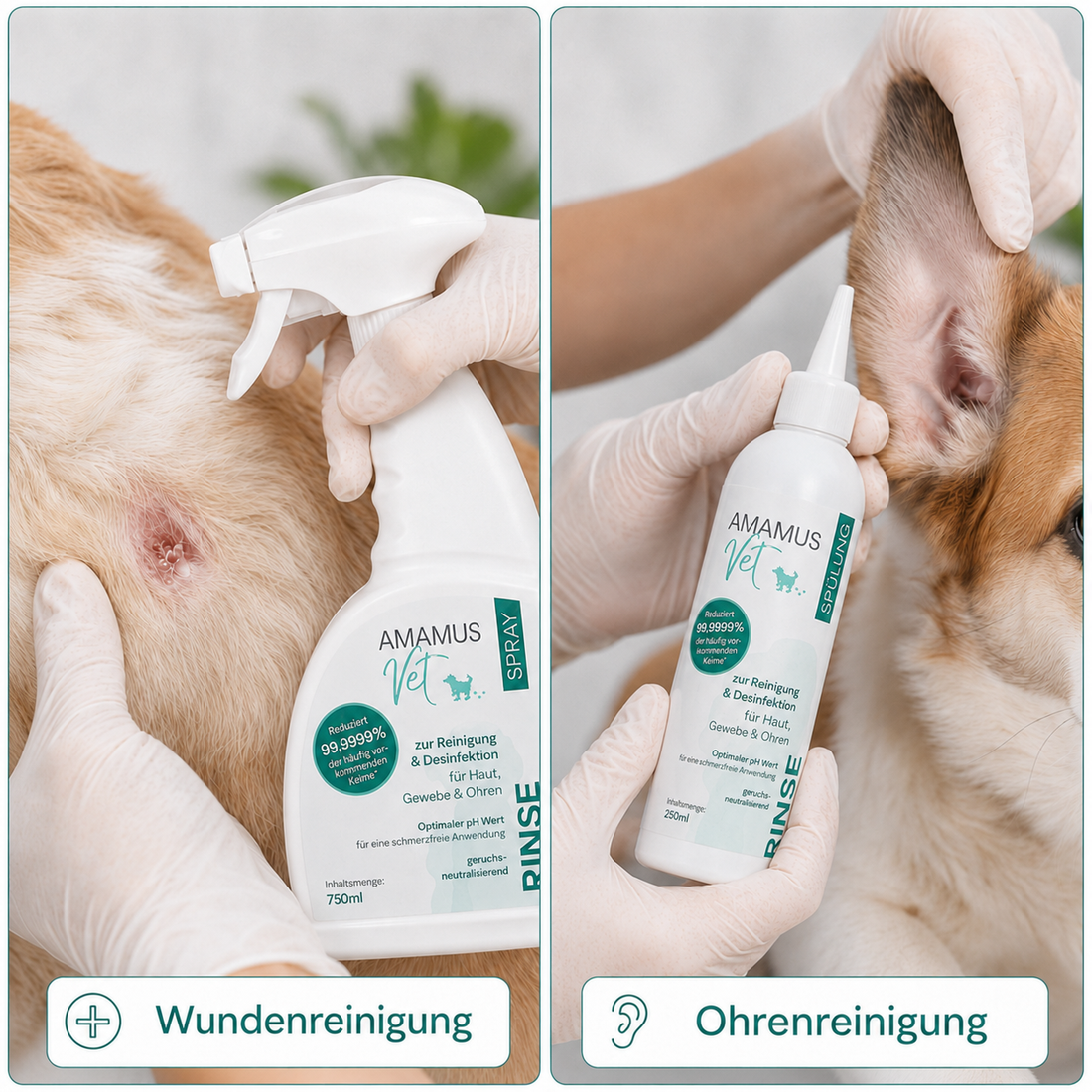 1. Reinigen mit RINSE