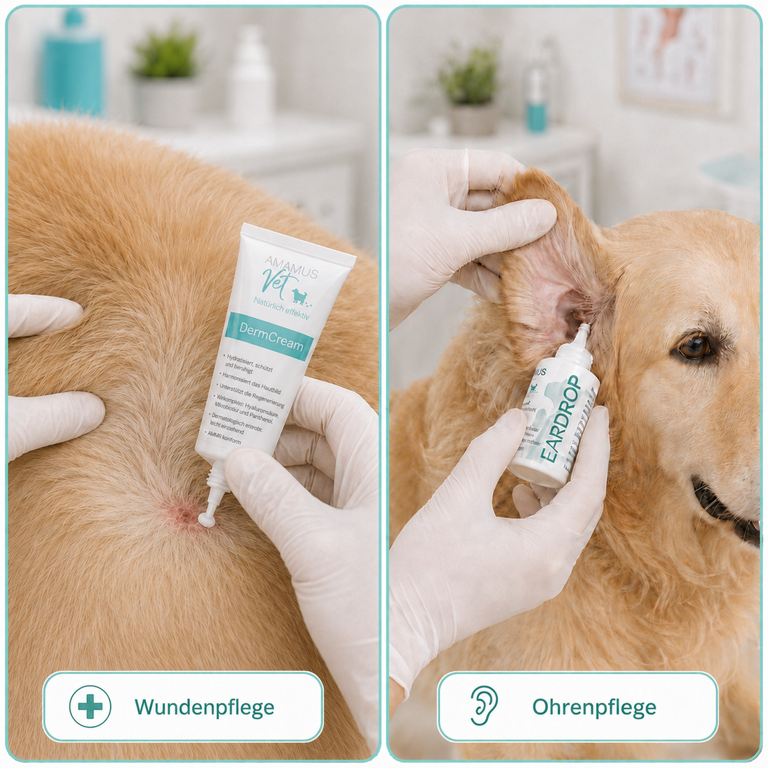 3. Derm-Care