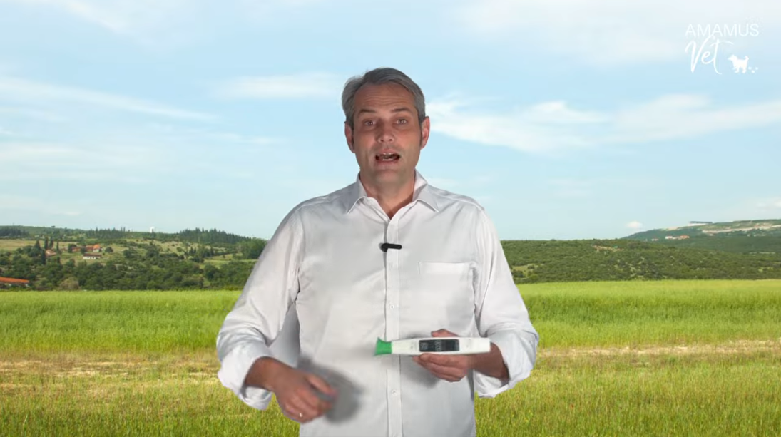 Video laden: CEO Jan Lang spricht über AMAMAUS Vet