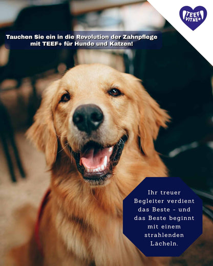 TEEF VitaePlus® (6g) - Natürliche Zahnpflege bei Maulgeruch & Zahnstein für Hunde & Katzen (ausreichend für 60 Tage / 60 Anw.)
