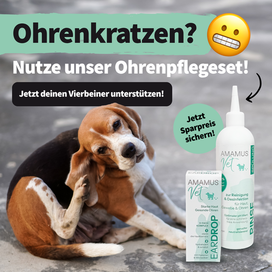 AMAMUS Vet Ohrenpflege Starter Set - Jetzt Tierohren effektiv reinigen & sanft pflegen!