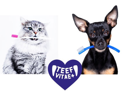 TEEF VitaePlus® Natürliche Zahnpflege beim Trinken für Hunde & Katzen 6g