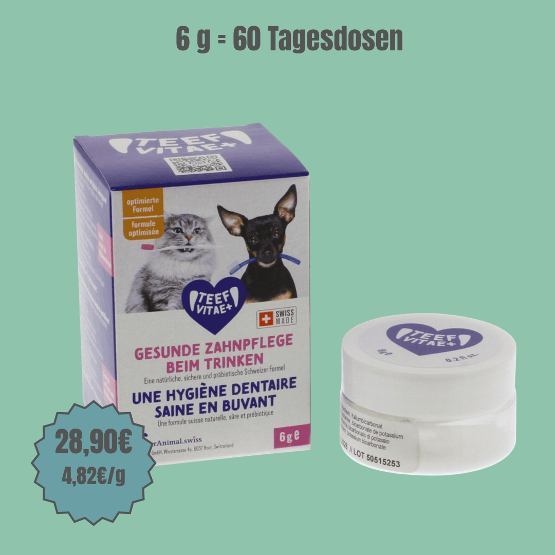 TEEF VitaePlus® (6g) - Natürliche Zahnpflege bei Maulgeruch & Zahnstein für Hunde & Katzen (ausreichend für 60 Tage / 60 Anw.)