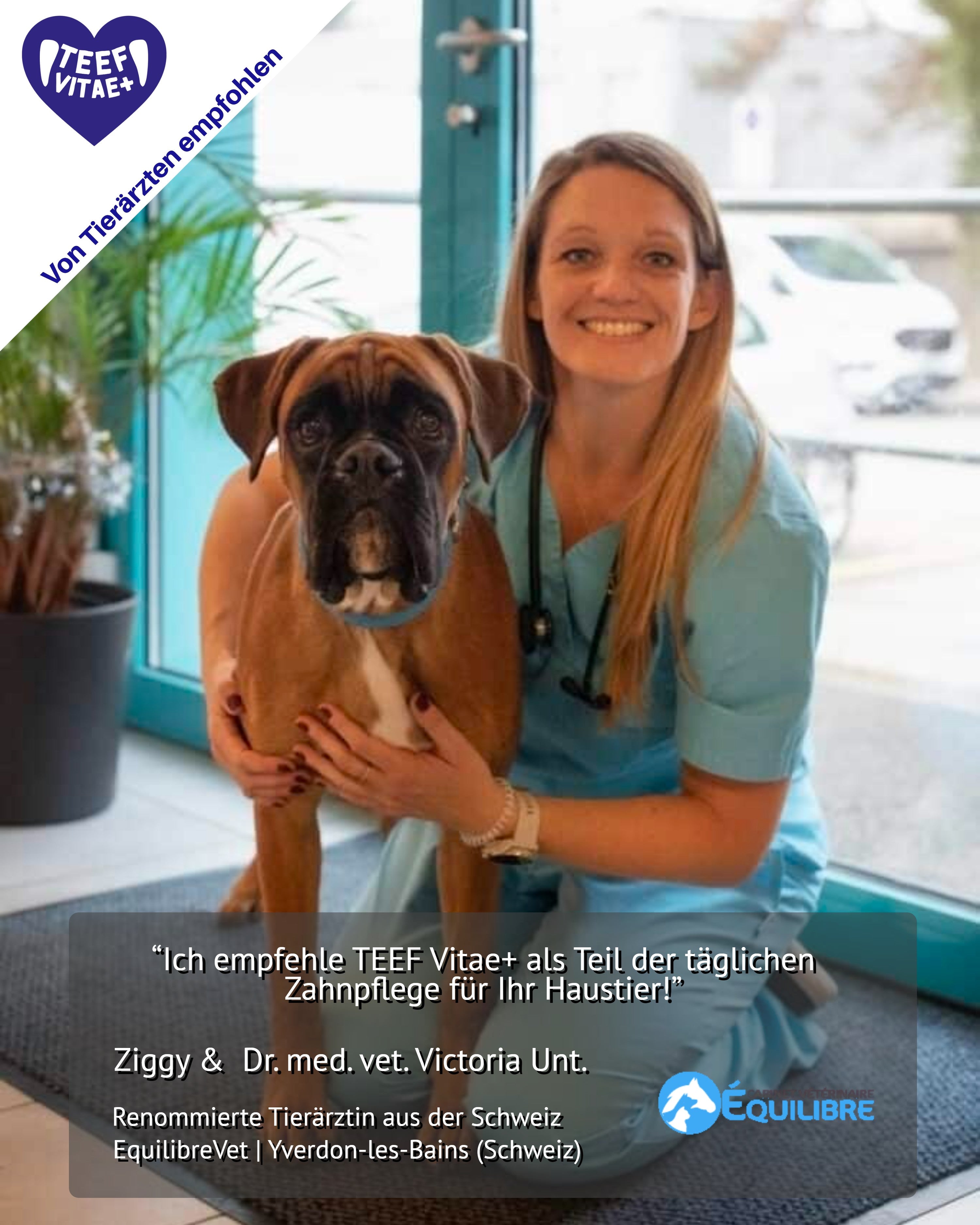 TEEF VitaePlus® (6g) - Natürliche Zahnpflege bei Maulgeruch & Zahnstein für Hunde & Katzen (ausreichend für 60 Tage / 60 Anw.)