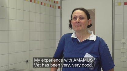 AMAMUS Vet coldPlasma Klinik System